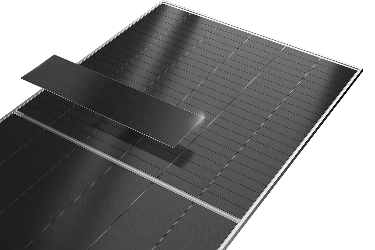 Tiger Neo 3.0 66QL6 Bifasial (BDV) — 1