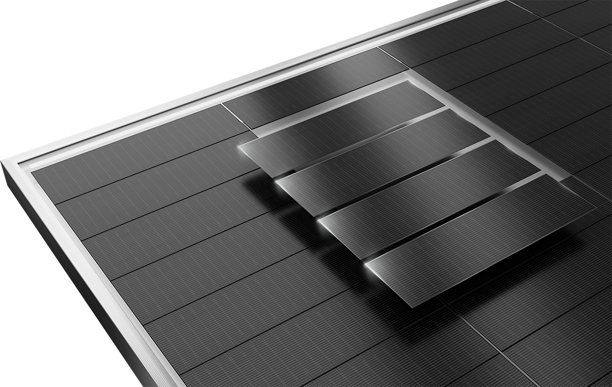 Tiger Neo 3.0 66QL6 Bifasial (BDV) — 3